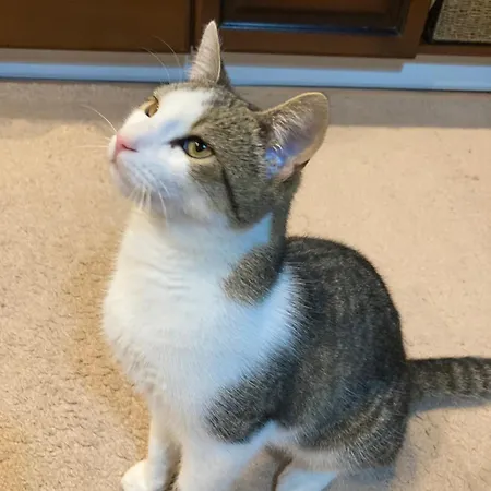 Domcek Miriam Hrabušice