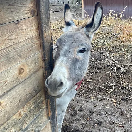 Domcek Miriam Hrabušice