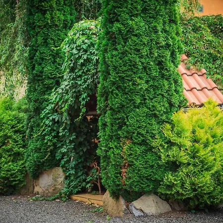 Domcek Miriam * Hrabušice