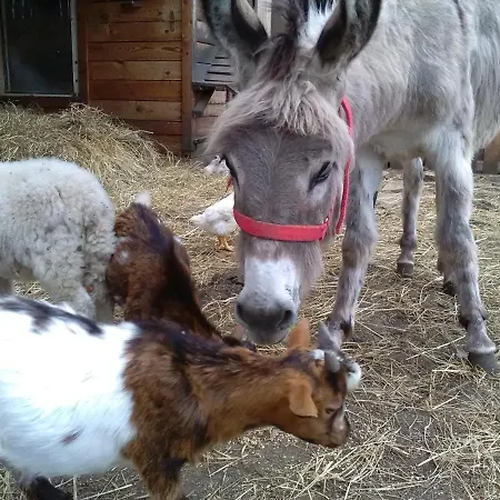 Domcek Miriam Casa rural Hrabušice