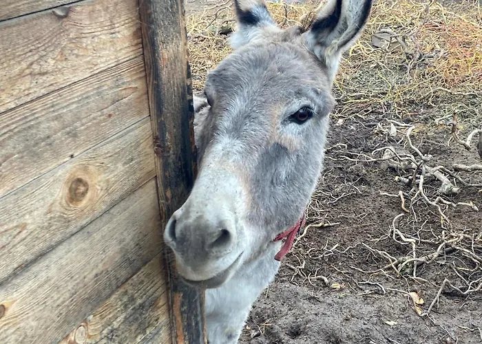 Domcek Miriam Hrabušice