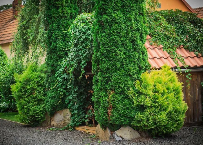 Domcek Miriam * Hrabušice