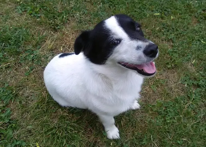 Domcek Miriam Hrabušice