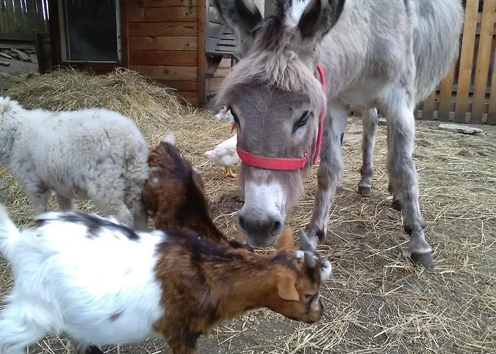 Domcek Miriam 컨트리하우스 Hrabušice